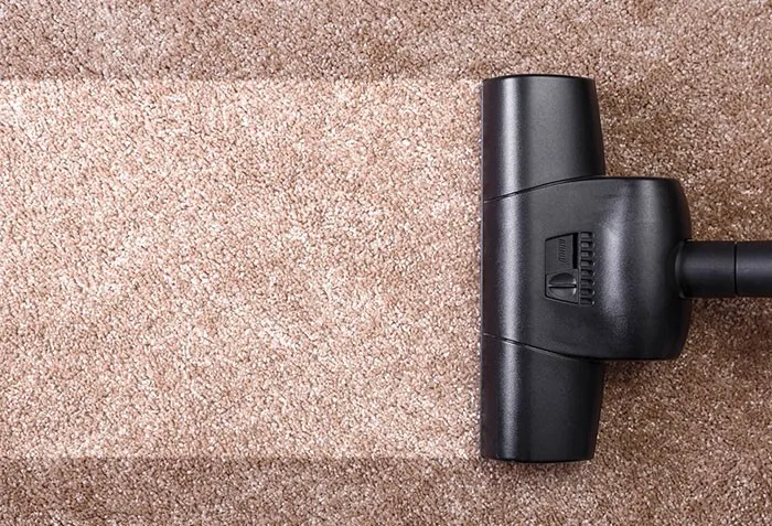 Area Rug Daily Care | Wade's Interiors