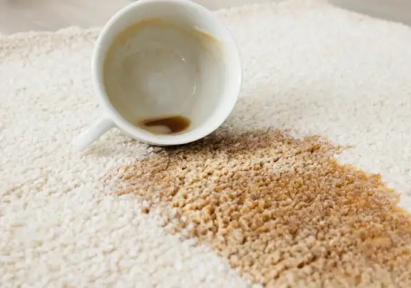 Area Rugs Care & Maintenance | Wade's Interiors